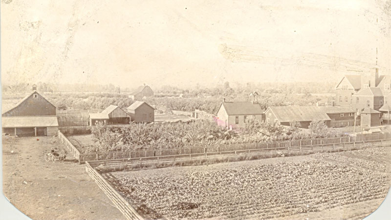 Garden and farm buildings, Coqualeetza Institute, circa 1920.