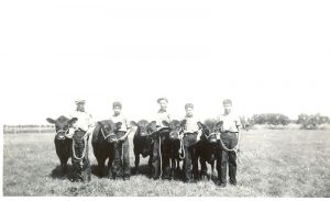 Five children standing with calves in a field