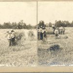 Children standing in the hay field with hay bales.
