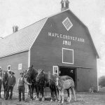 Two individuals standing with a team of horses in front of a barn.