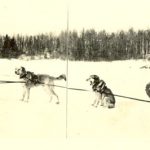 A dog team ready to pull a person in a sleigh, with reverend standing behind the sleigh.