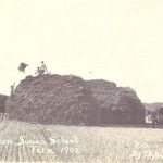 Youth standing on extremely large bundles of hay, youth from top of the heap throwing hay to those below, caption reads 