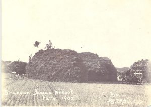 Youth standing on extremely large bundles of hay, youth from top of the heap throwing hay to those below, caption reads 