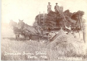 Youth standing on cart drawn by two horses, they are collecting hay, caption reads 