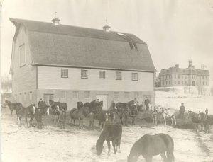 Large herd of horses beside a barn, Brandon Residential School in the background.