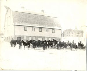 Large herd of horses beside a barn, Brandon Residential School in the background.