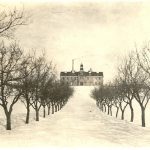 Road leading up to Brandon Residential School, lined by trees, taken in winter.