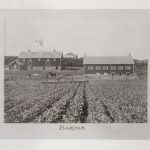 Rows of crops leading up to barns in the background, caption reads 
