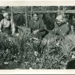 Three older adults sitting in a garden surrounded by flowers