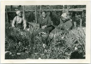 Three older adults sitting in a garden surrounded by flowers